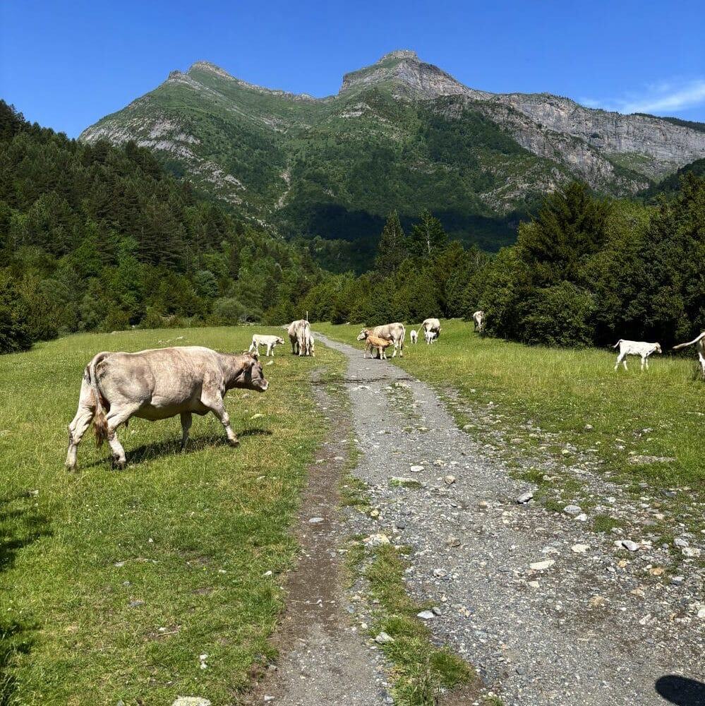 Ordesa y Monte Perdido